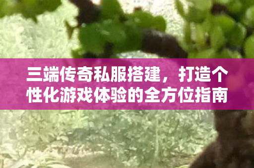 三端传奇私服搭建,打造个性化游戏体验的全方位指南,全方位指南,三端传奇私服搭建,打造个性化游戏体验 三端传奇私服搭建,打造个性化游戏体验的全方位指南,全方位指南,三端传奇私服搭建,打造个性化游戏体验