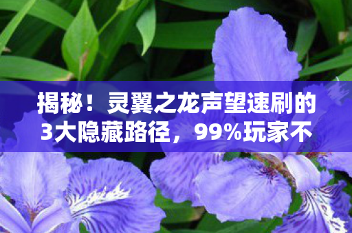 揭秘!灵翼之龙声望速刷的3大隐藏路径,99%玩家不知的真相! 揭秘!灵翼之龙声望速刷的3大隐藏路径,99%玩家不知的真相!