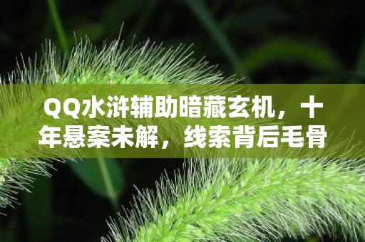 QQ水浒辅助暗藏玄机,十年悬案未解,线索背后毛骨悚然真相 QQ水浒辅助暗藏玄机,十年悬案未解,线索背后毛骨悚然真相