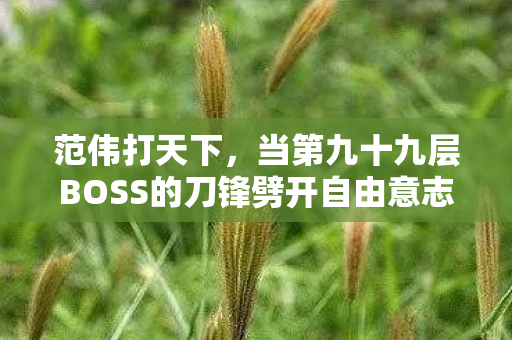 范伟打天下,当第九十九层BOSS的刀锋劈开自由意志的悖论 范伟打天下,当第九十九层BOSS的刀锋劈开自由意志的悖论