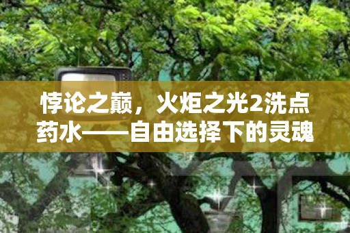 悖论之巅,火炬之光2洗点药水——自由选择下的灵魂震颤与层级囚笼 悖论之巅,火炬之光2洗点药水——自由选择下的灵魂震颤与层级囚笼