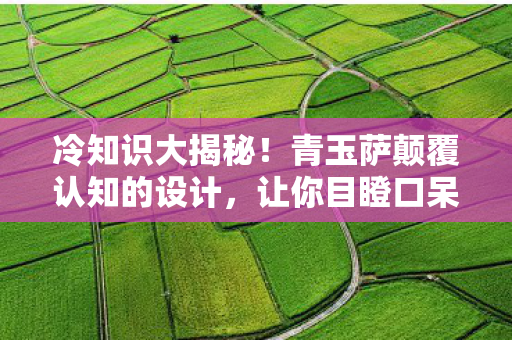 冷知识大揭秘!青玉萨颠覆认知的设计,让你目瞪口呆! 冷知识大揭秘!青玉萨颠覆认知的设计,让你目瞪口呆!