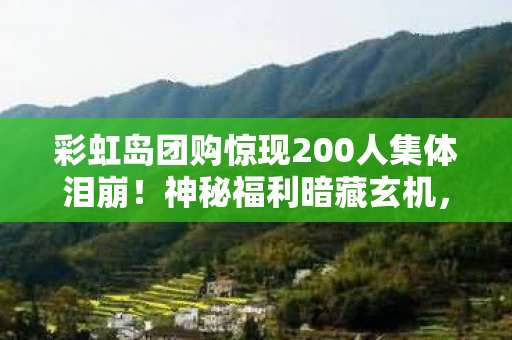 彩虹岛团购惊现200人集体泪崩!神秘福利暗藏玄机,网吧老炮儿绷不住了 彩虹岛团购惊现200人集体泪崩!神秘福利暗藏玄机,网吧老炮儿绷不住了