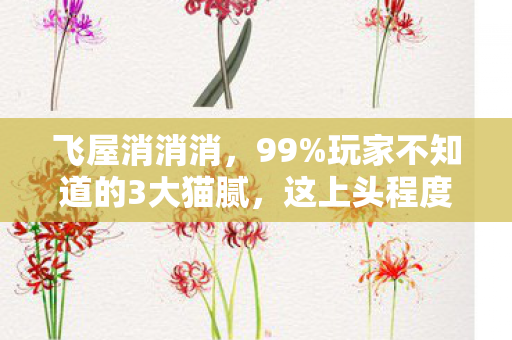 飞屋消消消,99%玩家不知道的3大猫腻,这上头程度简直让人破防! 飞屋消消消,99%玩家不知道的3大猫腻,这上头程度简直让人破防!