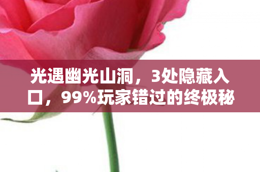 光遇幽光山洞,3处隐藏入口,99%玩家错过的终极秘密! 光遇幽光山洞,3处隐藏入口,99%玩家错过的终极秘密!