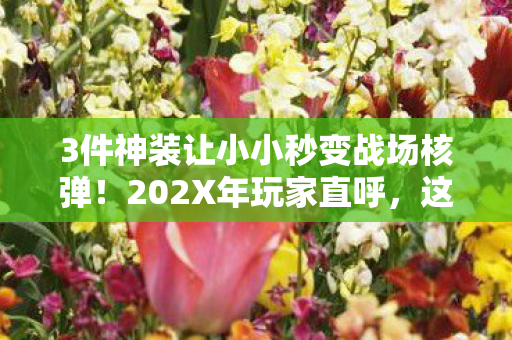 3件神装让小小秒变战场核弹!202X年玩家直呼,这伤害科学吗? 3件神装让小小秒变战场核弹!202X年玩家直呼,这伤害科学吗?