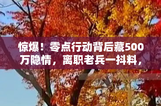 惊爆！零点行动背后藏500万隐情，离职老兵一抖料，吓你一跳！