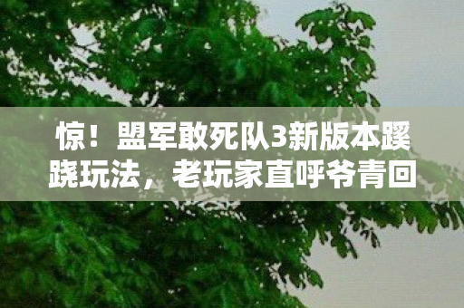 惊！盟军敢死队3新版本蹊跷玩法，老玩家直呼爷青回
