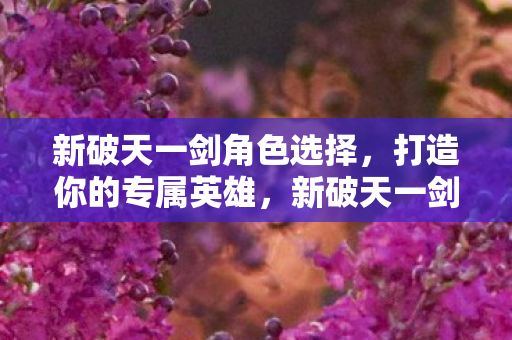 新破天一剑角色选择,打造你的专属英雄,新破天一剑,打造你的专属英雄 新破天一剑角色选择,打造你的专属英雄,新破天一剑,打造你的专属英雄