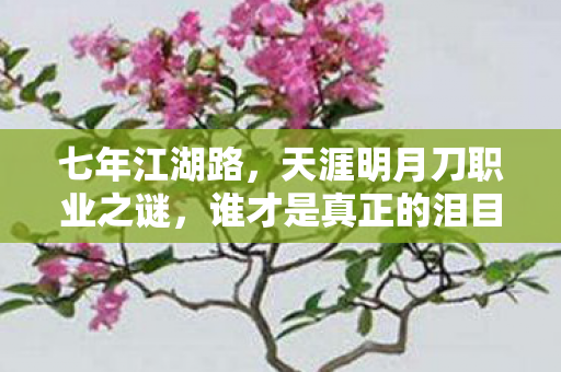 七年江湖路,天涯明月刀职业之谜,谁才是真正的泪目传说? 七年江湖路,天涯明月刀职业之谜,谁才是真正的泪目传说?