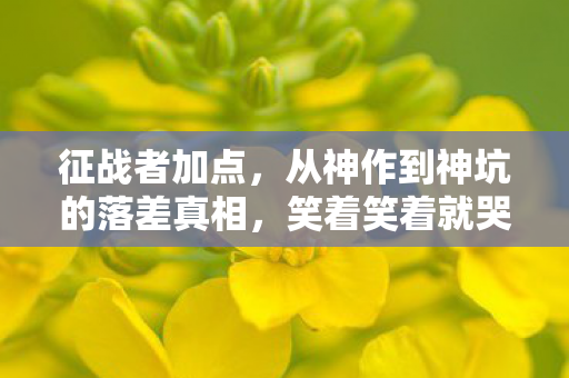 征战者加点,从神作到神坑的落差真相,笑着笑着就哭了 征战者加点,从神作到神坑的落差真相,笑着笑着就哭了