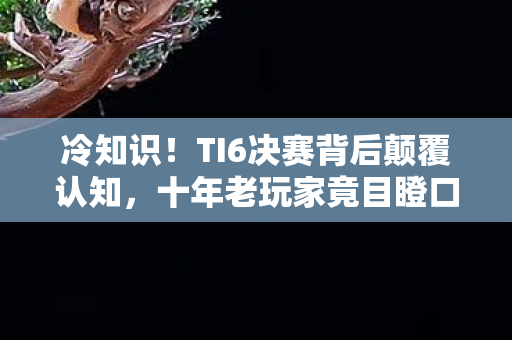 冷知识!TI6决赛背后颠覆认知,十年老玩家竟目瞪口呆自曝真相 冷知识!TI6决赛背后颠覆认知,十年老玩家竟目瞪口呆自曝真相