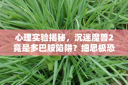 心理实验揭秘，沉迷魔兽2竟是多巴胺陷阱？细思极恐！