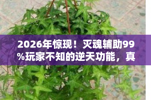 2026年惊现！灭魂辅助99%玩家不知的逆天功能，真相竟是……