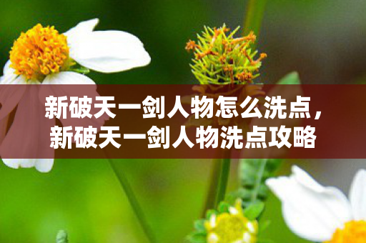 新破天一剑人物怎么洗点,新破天一剑人物洗点攻略 新破天一剑人物怎么洗点,新破天一剑人物洗点攻略