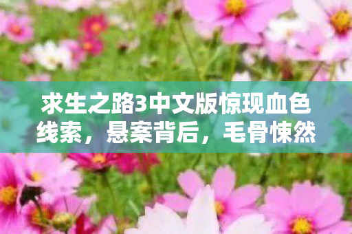 求生之路3中文版惊现血色线索，悬案背后，毛骨悚然的真相等你揭开