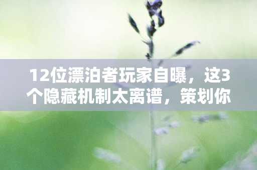 12位漂泊者玩家自曝,这3个隐藏机制太离谱,策划你出来我保证不笑! 12位漂泊者玩家自曝,这3个隐藏机制太离谱,策划你出来我保证不笑!