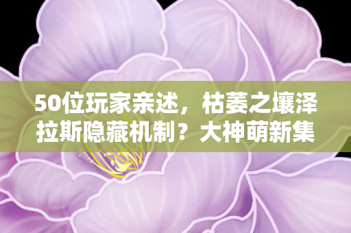 50位玩家亲述,枯萎之壤泽拉斯隐藏机制?大神萌新集体绷不住! 50位玩家亲述,枯萎之壤泽拉斯隐藏机制?大神萌新集体绷不住!