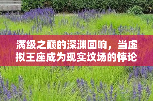 满级之巅的深渊回响,当虚拟王座成为现实坟场的悖论震颤 满级之巅的深渊回响,当虚拟王座成为现实坟场的悖论震颤