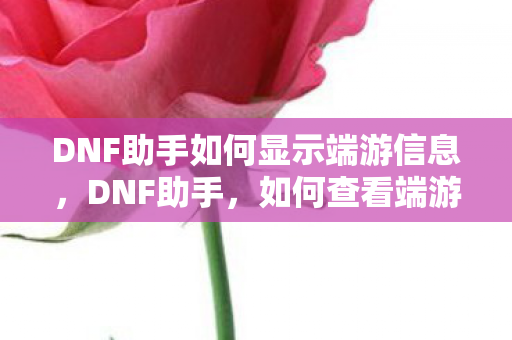 DNF助手如何显示端游信息,DNF助手,如何查看端游信息? DNF助手如何显示端游信息,DNF助手,如何查看端游信息?