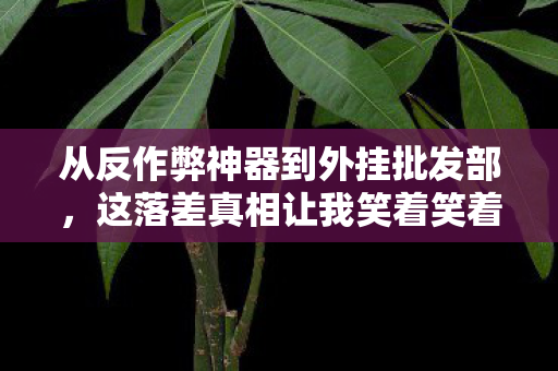 从反作弊神器到外挂批发部,这落差真相让我笑着笑着就哭了 从反作弊神器到外挂批发部,这落差真相让我笑着笑着就哭了