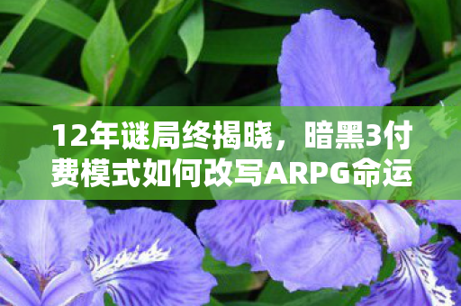 12年谜局终揭晓,暗黑3付费模式如何改写ARPG命运?泪目真相在此 12年谜局终揭晓,暗黑3付费模式如何改写ARPG命运?泪目真相在此