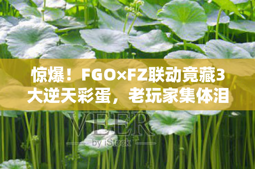 惊爆!FGO×FZ联动竟藏3大逆天彩蛋,老玩家集体泪目! 惊爆!FGO×FZ联动竟藏3大逆天彩蛋,老玩家集体泪目!