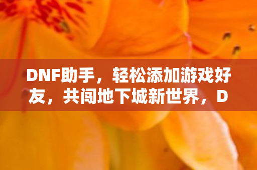 DNF助手,轻松添加游戏好友,共闯地下城新世界,DNF助手,轻松添加好友,共闯地下城新世界 DNF助手,轻松添加游戏好友,共闯地下城新世界,DNF助手,轻松添加好友,共闯地下城新世界