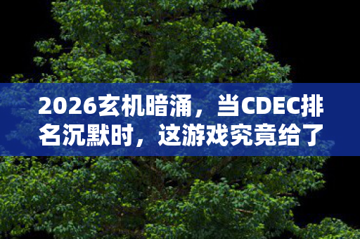 2026玄机暗涌，当CDEC排名沉默时，这游戏究竟给了我什么？
