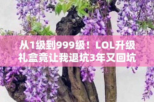 从1级到999级!LOL升级礼盒竟让我退坑3年又回坑?真相太意外! 从1级到999级!LOL升级礼盒竟让我退坑3年又回坑?真相太意外!
