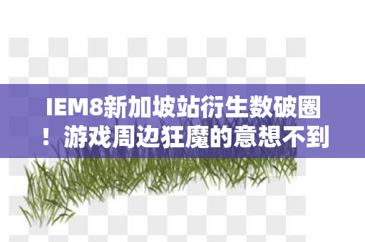 IEM8新加坡站衍生数破圈!游戏周边狂魔的意想不到败家之旅 IEM8新加坡站衍生数破圈!游戏周边狂魔的意想不到败家之旅