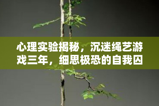 心理实验揭秘，沉迷绳艺游戏三年，细思极恐的自我囚禁