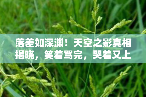 落差如深渊!天空之影真相揭晓,笑着骂完,哭着又上线 落差如深渊!天空之影真相揭晓,笑着骂完,哭着又上线