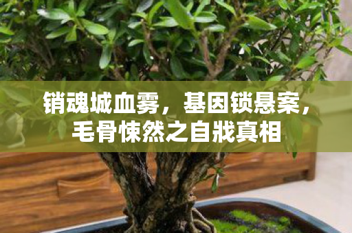 销魂城血雾,基因锁悬案,毛骨悚然之自戕真相 销魂城血雾,基因锁悬案,毛骨悚然之自戕真相