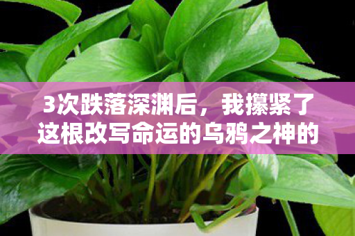 3次跌落深渊后，我攥紧了这根改写命运的乌鸦之神的缰绳！