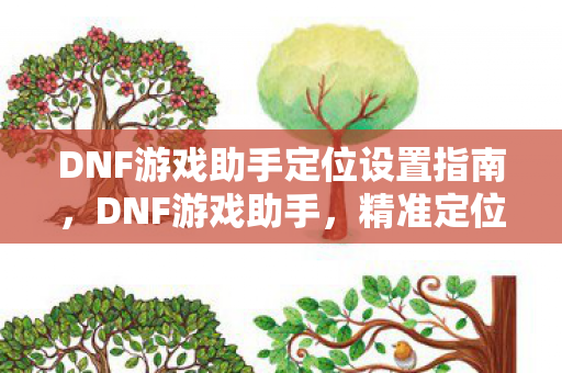 DNF游戏助手定位设置指南，DNF游戏助手，精准定位设置全攻略