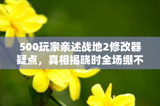 500玩家亲述战地2修改器疑点,真相揭晓时全场绷不住了! 500玩家亲述战地2修改器疑点,真相揭晓时全场绷不住了!