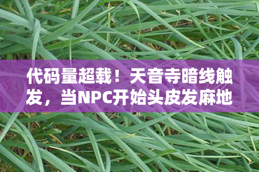 代码量超载！天音寺暗线触发，当NPC开始头皮发麻地觉醒