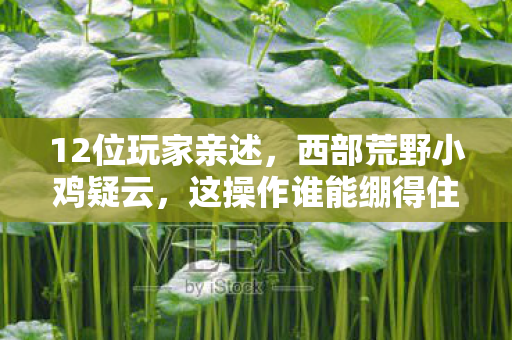 12位玩家亲述,西部荒野小鸡疑云,这操作谁能绷得住? 12位玩家亲述,西部荒野小鸡疑云,这操作谁能绷得住?