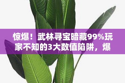 惊爆!武林寻宝暗藏99%玩家不知的3大数值陷阱,爆率竟被改? 惊爆!武林寻宝暗藏99%玩家不知的3大数值陷阱,爆率竟被改?