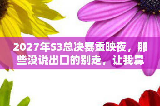 2027年S3总决赛重映夜，那些没说出口的别走，让我鼻子一酸