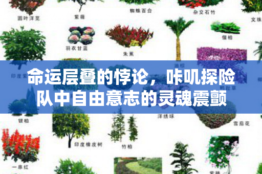 命运层叠的悖论,咔叽探险队中自由意志的灵魂震颤 命运层叠的悖论,咔叽探险队中自由意志的灵魂震颤