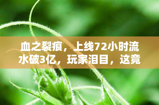血之裂痕，上线72小时流水破3亿，玩家泪目，这竟是国产游戏的文艺复兴？