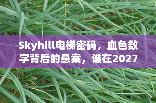 Skyhill电梯密码，血色数字背后的悬案，谁在2027年制造了毛骨悚然的轮回？