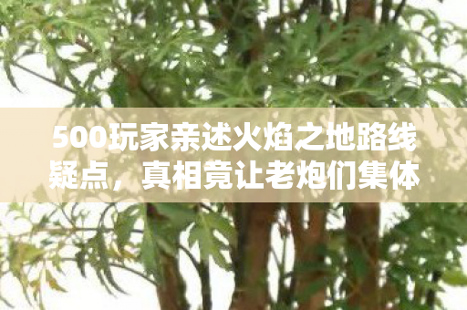 500玩家亲述火焰之地路线疑点,真相竟让老炮们集体绷不住! 500玩家亲述火焰之地路线疑点,真相竟让老炮们集体绷不住!