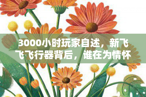 3000小时玩家自述，新飞飞飞行器背后，谁在为情怀买单？