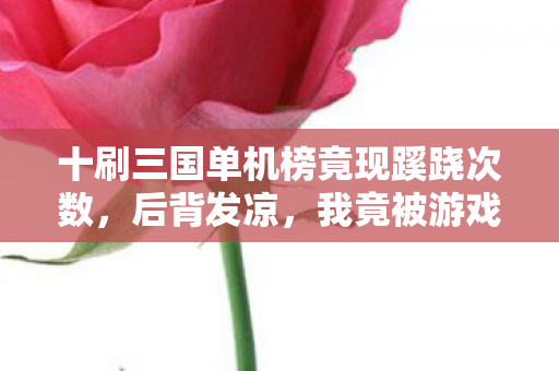 十刷三国单机榜竟现蹊跷次数,后背发凉,我竟被游戏玩了半生? 十刷三国单机榜竟现蹊跷次数,后背发凉,我竟被游戏玩了半生?