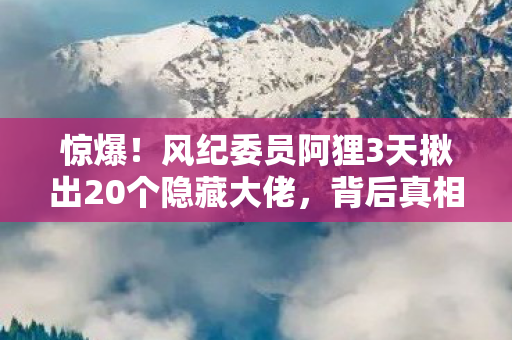 惊爆!风纪委员阿狸3天揪出20个隐藏大佬,背后真相让人窒息! 惊爆!风纪委员阿狸3天揪出20个隐藏大佬,背后真相让人窒息!