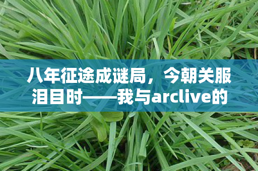 八年征途成谜局,今朝关服泪目时——我与arclive的时光终章 八年征途成谜局,今朝关服泪目时——我与arclive的时光终章