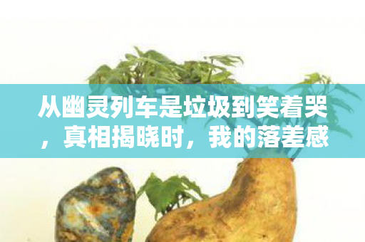 从幽灵列车是垃圾到笑着哭，真相揭晓时，我的落差感拉满了